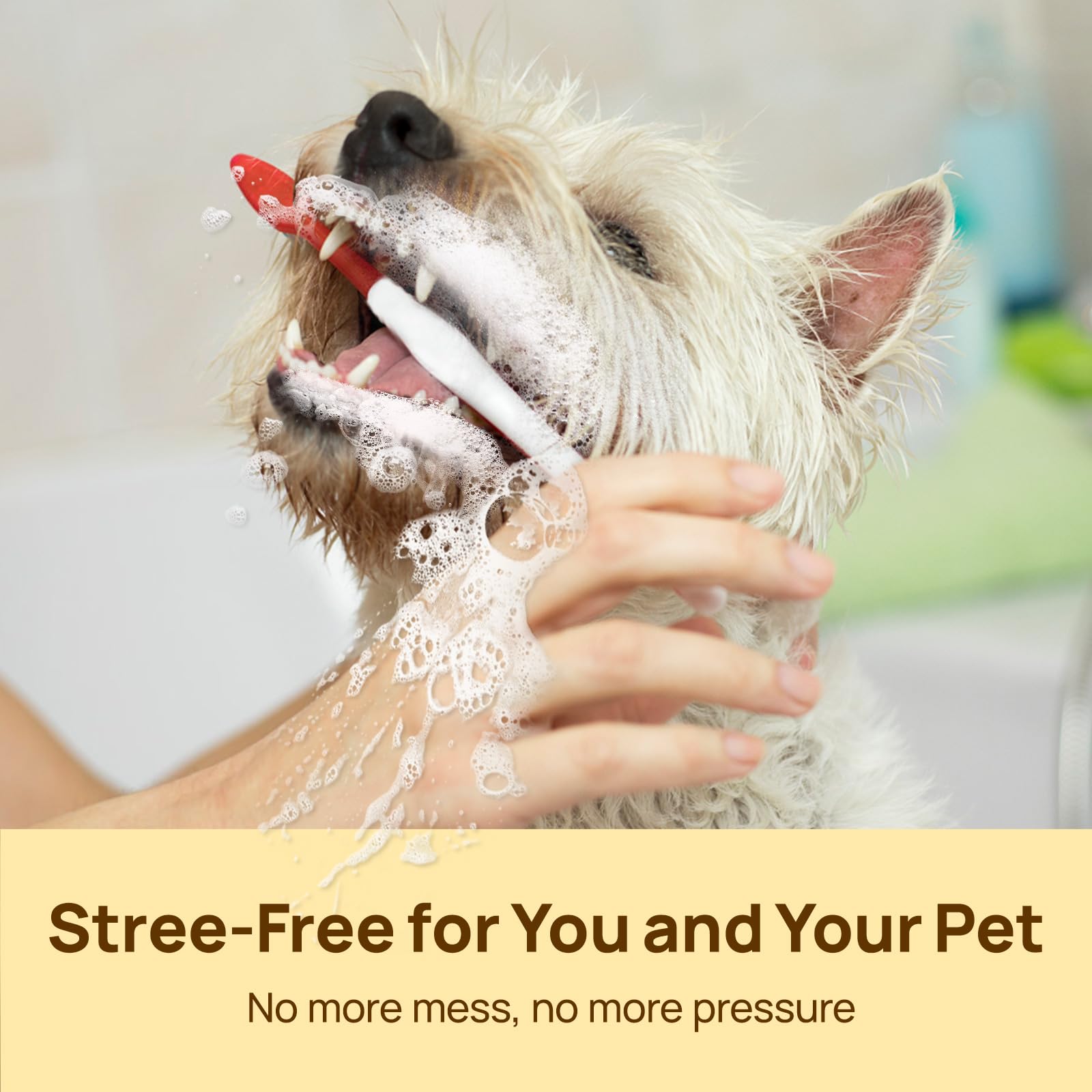 HICC PET seguridad sin alcohol para dientes sensibles.