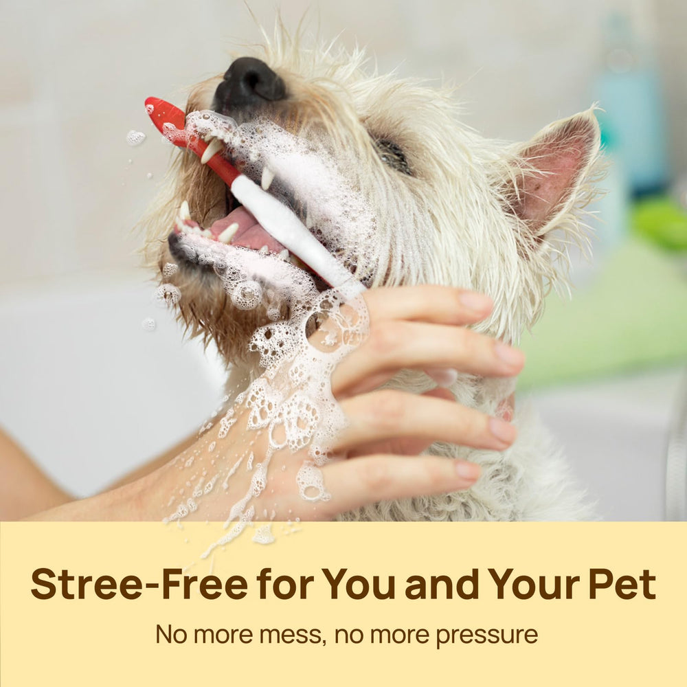 HICC PET seguridad sin alcohol para dientes sensibles.