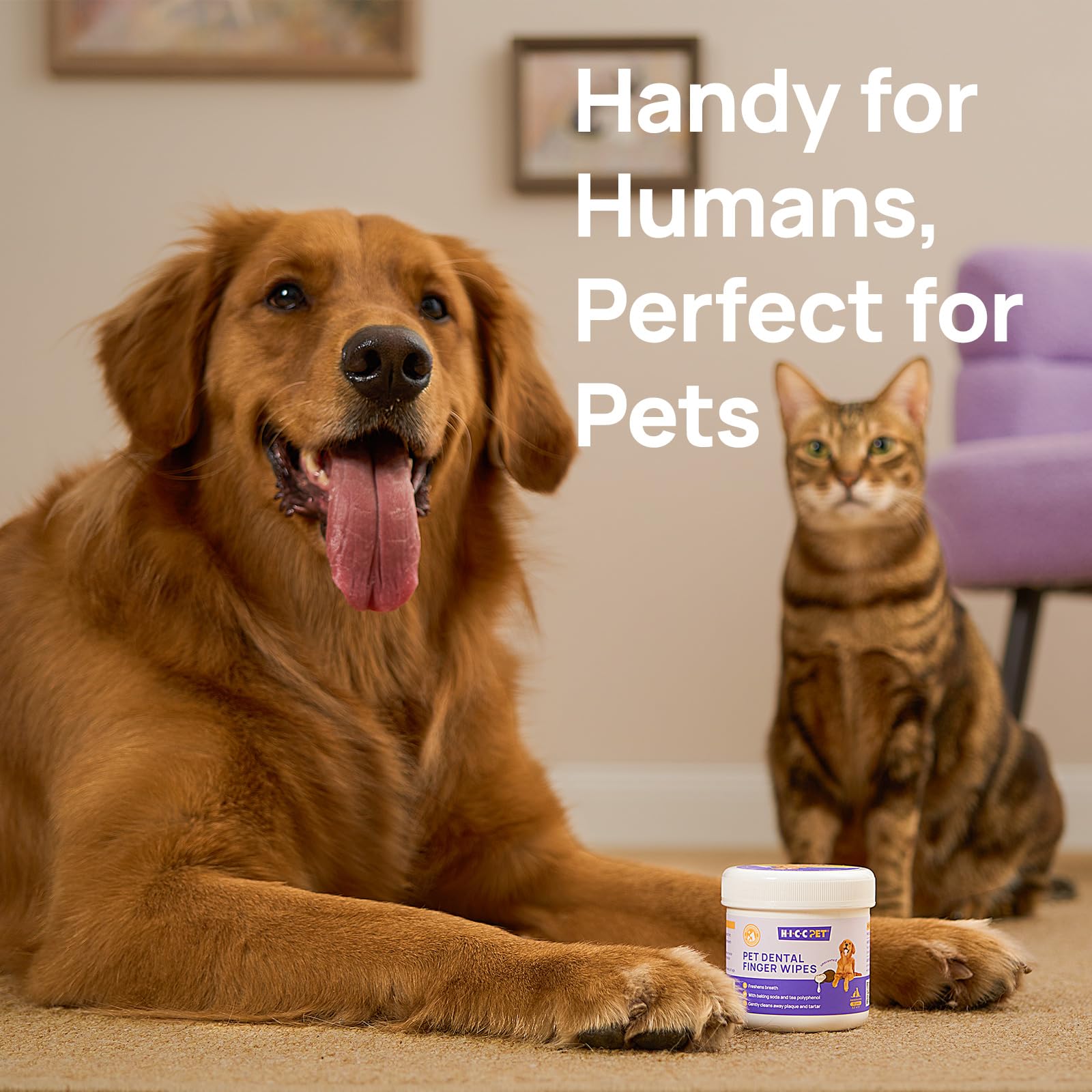 HICC PET toallitas aptas para gatos y conejos