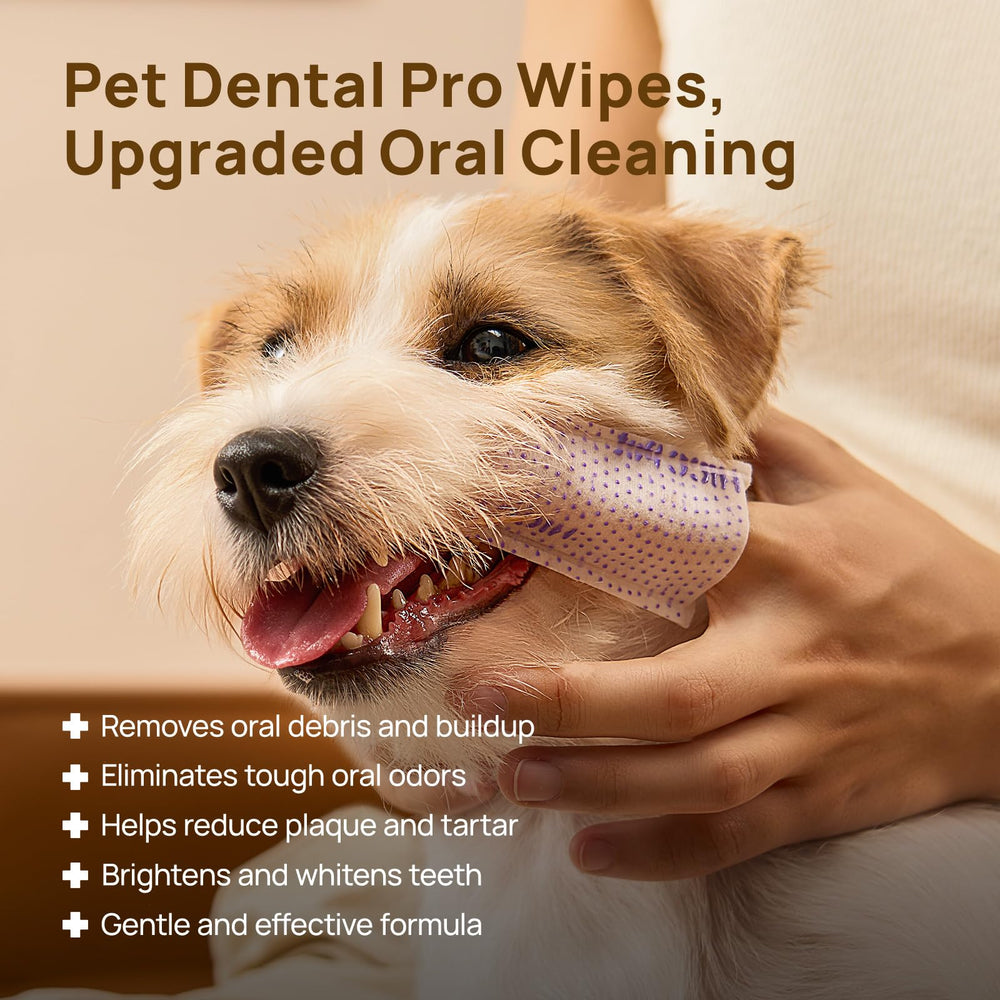 HICC PET: uso en dedo para cepillado dental de perro, ajuste cómodo