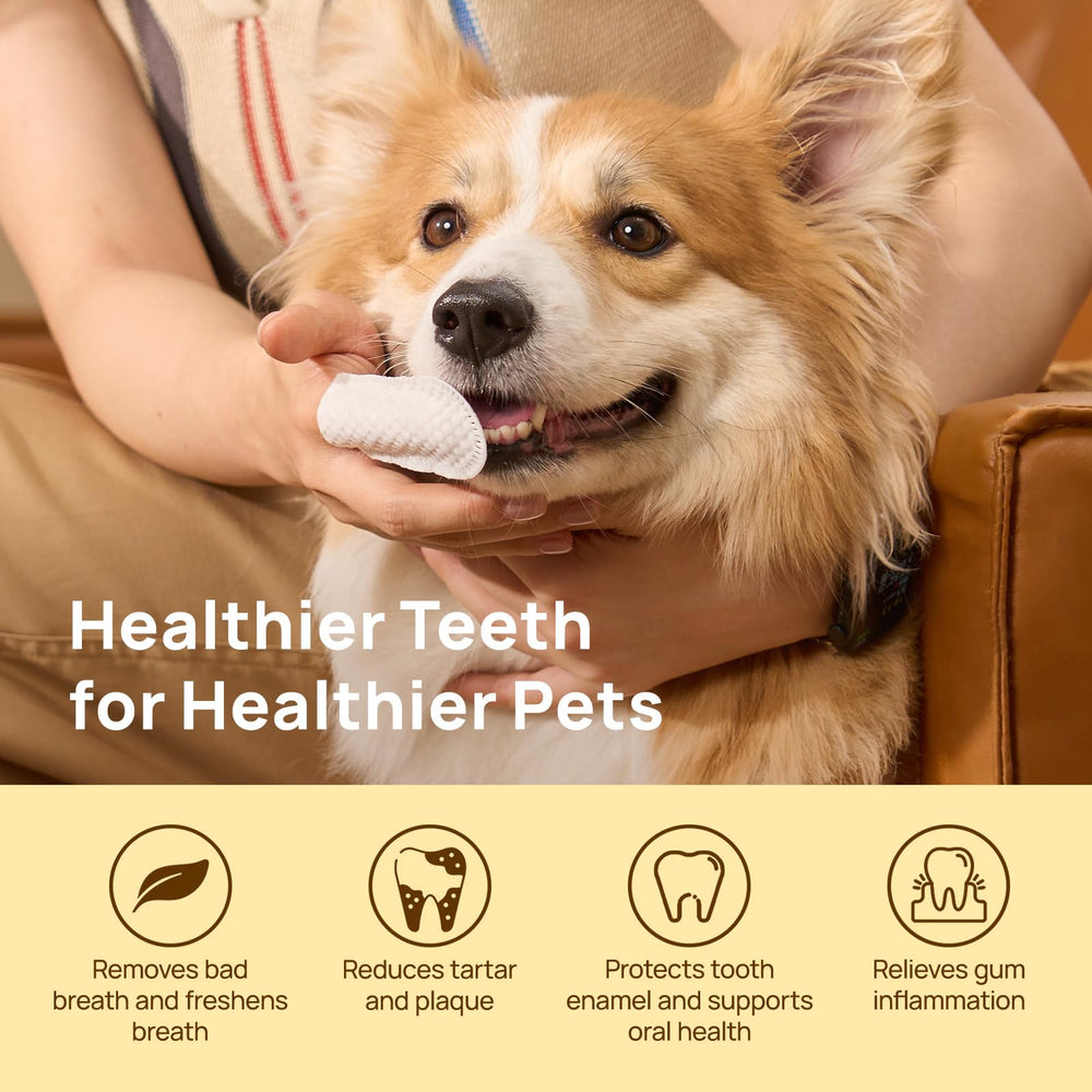 Toallitas dentales HICC PET para gatos, limpieza eficaz de encías.