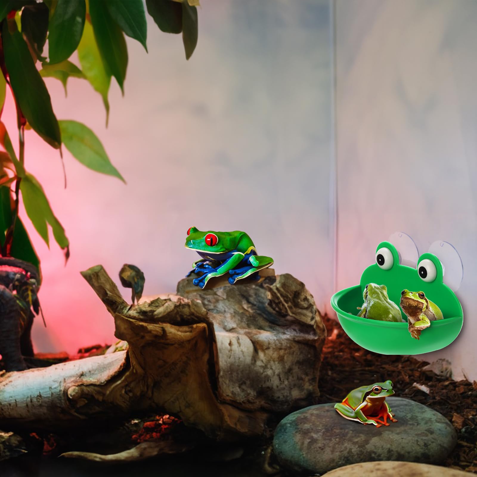 Hiceeden zócalos de terrario, promueven descanso y exploración segura