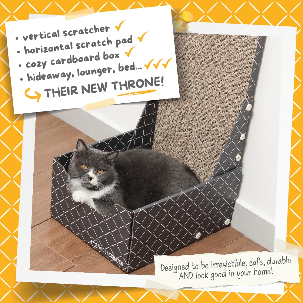 Hide & Scratch: diseño vertical en L para refugio y juego felino