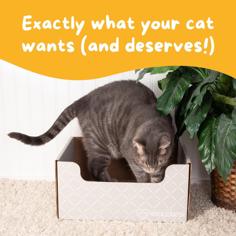 Hide & Scratch diseno-original caja-rasca: diseño robusto y confiable para gatos.