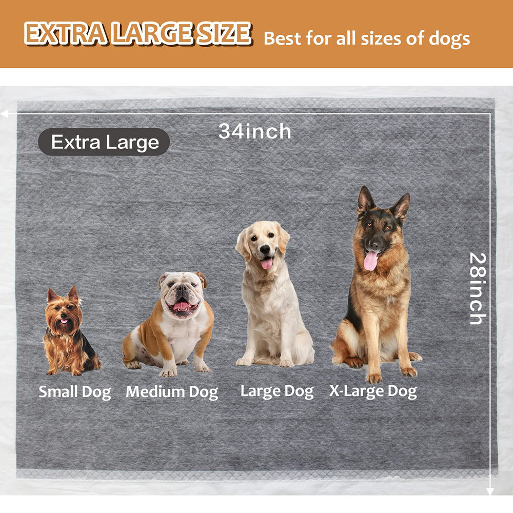 Uso interior o exterior con HIDOGGYLD, apto para mascotas