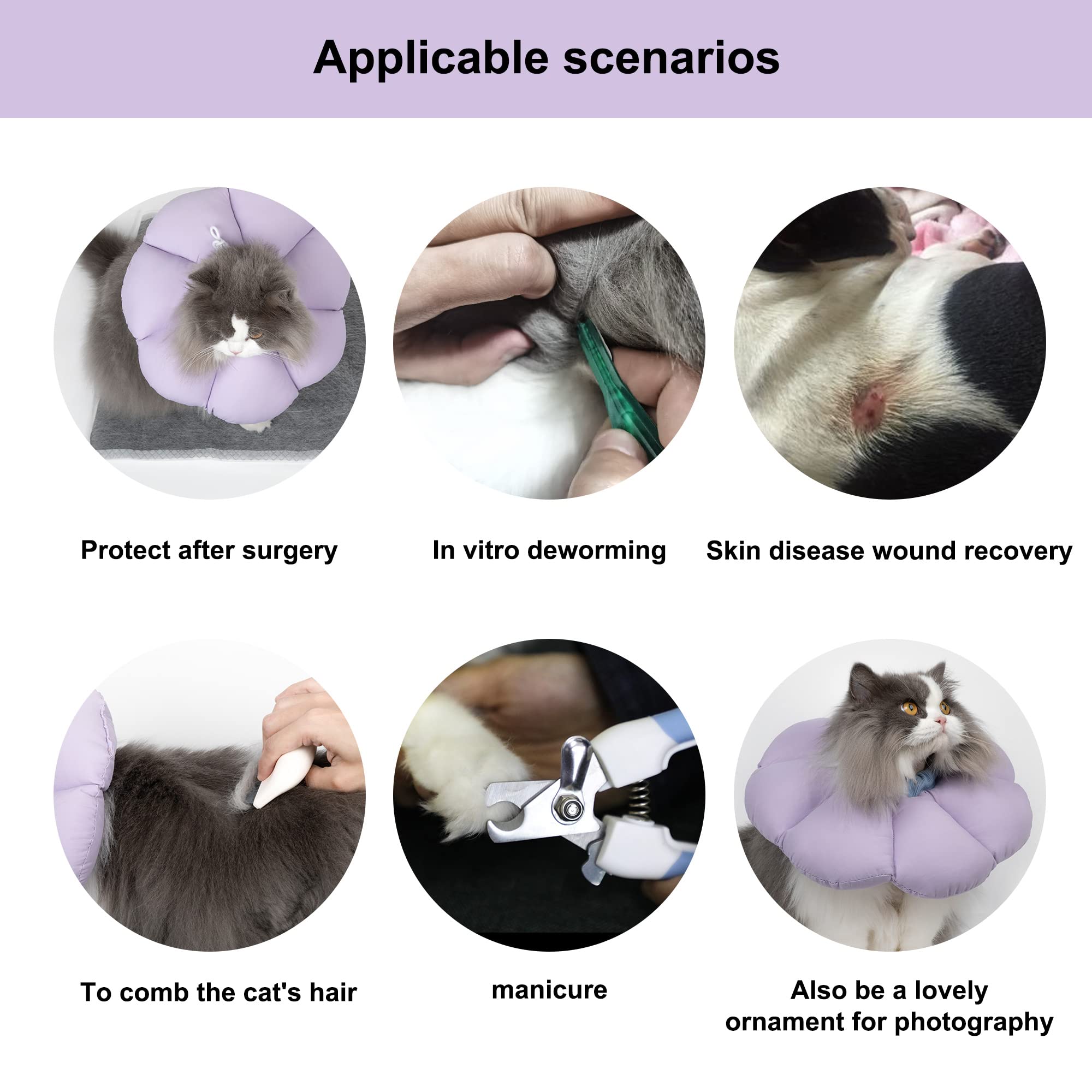 hidream collar cono gato comer beber con facilidad durante el uso