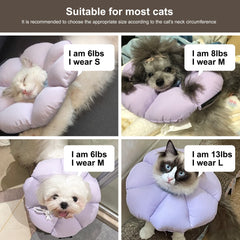 Cono Hidream facilita grooming y cuidado sin estresar al gato.