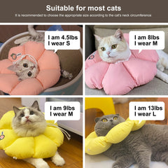 HiDREAM cono para gato cuidado de uñas e higiene.