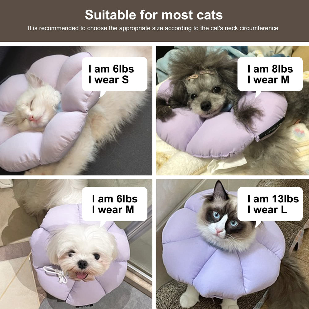 hidream collar cono gato material suave impermeable protege la herida