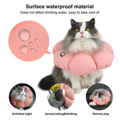 HiDREAM cono-gato resistente-agua mantiene la herida seca durante el cuidado.