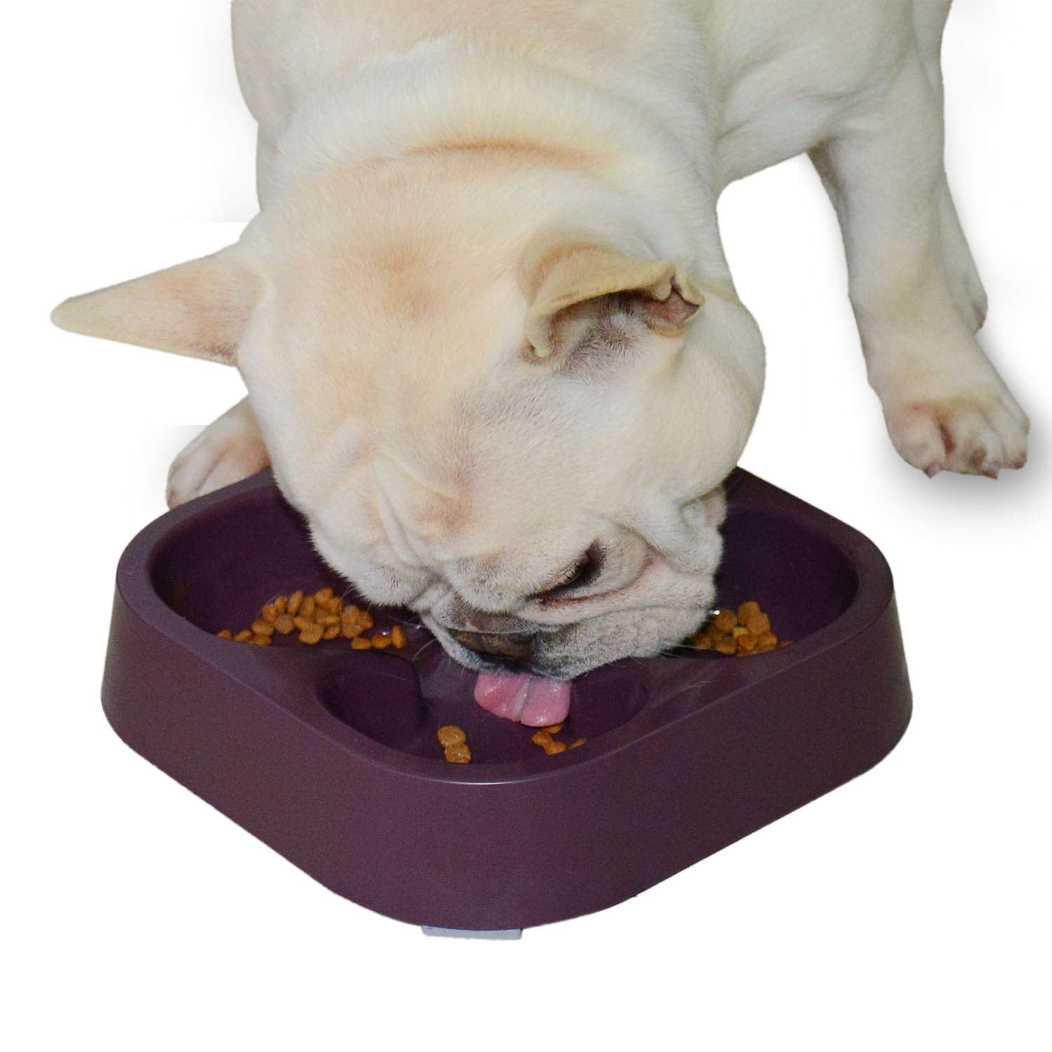 Bebedero lento Hifrenchies con trébol de cuatro hojas para Bulldog Francés, ayuda a comer despacio