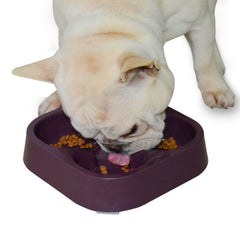 Bebedero lento Hifrenchies con trébol de cuatro hojas para Bulldog Francés, ayuda a comer despacio