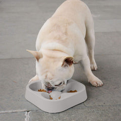 Tazón lento Hifrenchies para perros medianos gris, diseño elegante