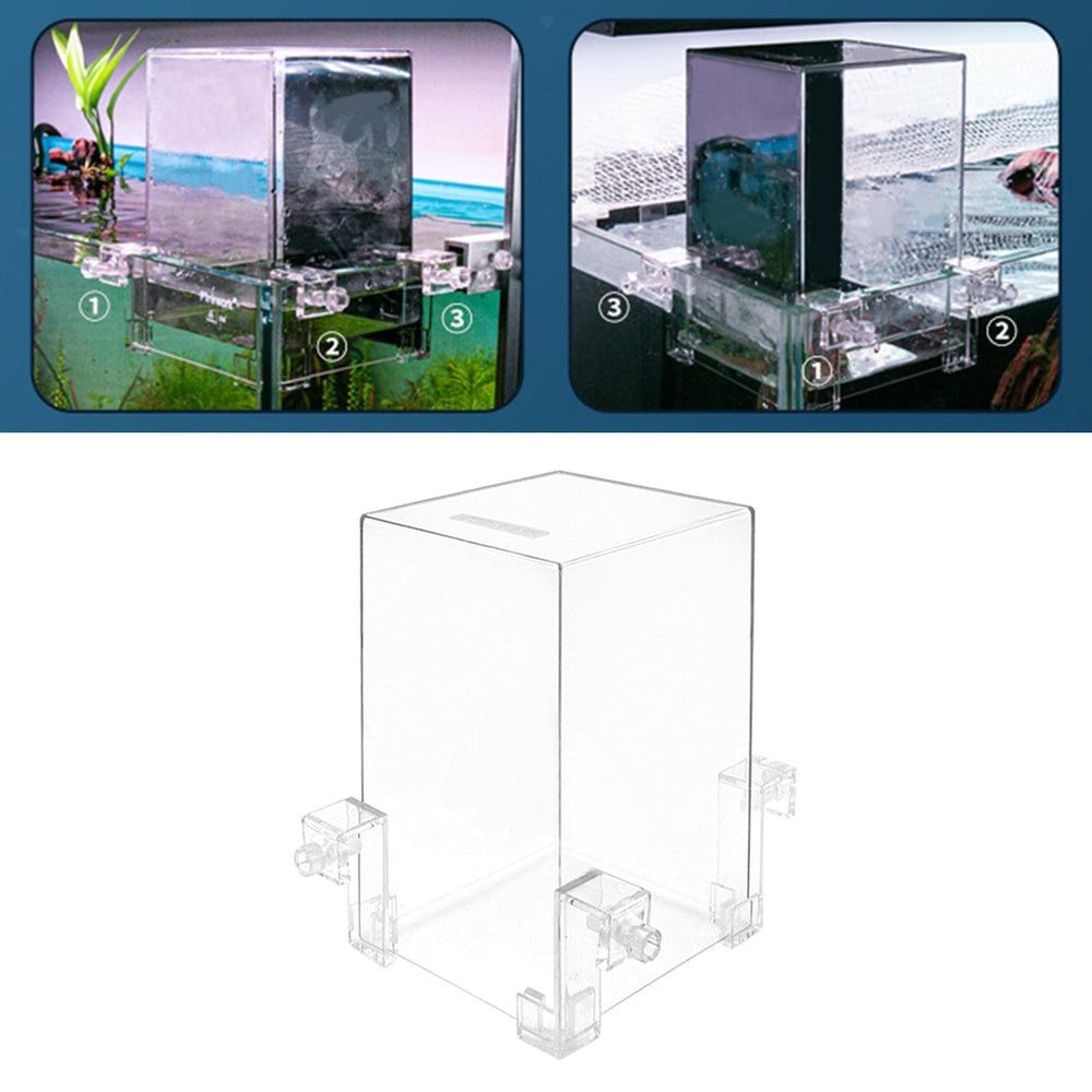 Ecosistema acuario claro Hifybaty: experiencia visual atractiva y ordenada.