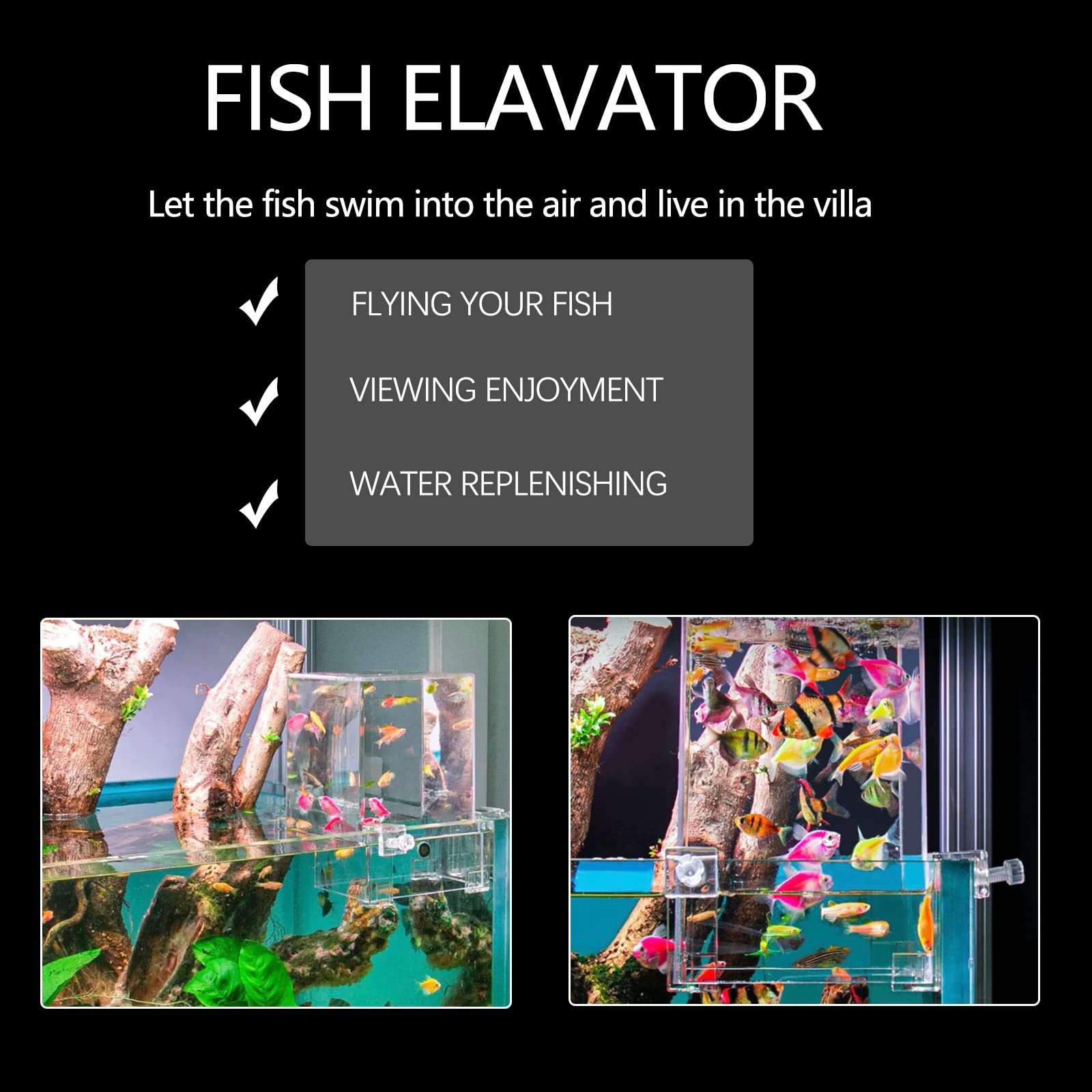 Vidrio claro Hifybaty: vista nítida del acuario.