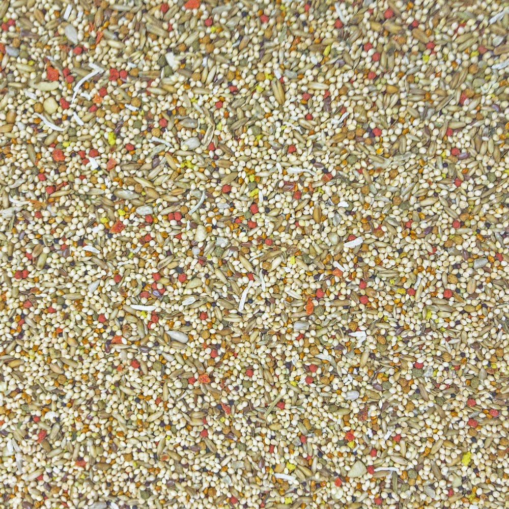 Higgins Sunburst Gourmet Blend para periquitos, segunda bolsa, proteína de huevo para dieta variada