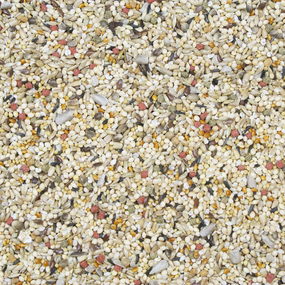 Higgins Vita Seed: mezcla con DHA omega-3 para aves, apoyo al plumaje