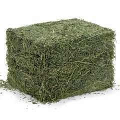 Heno de alfalfa para la alimentación diaria de conejos y cobayas.