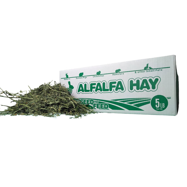 High Desert Heno de Alfalfa, hojas suaves para mordisqueo diario de conejos.