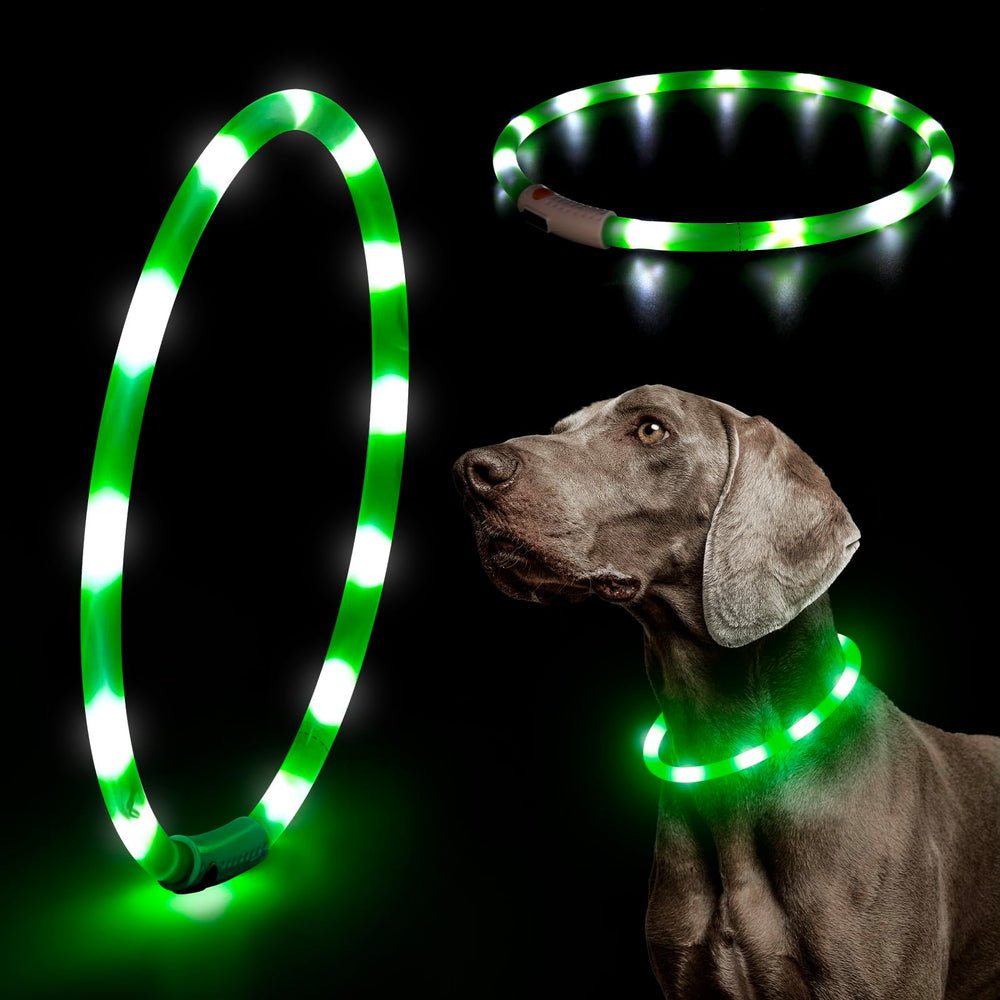 Higo collar LED con iluminación 360 para visibilidad nocturna