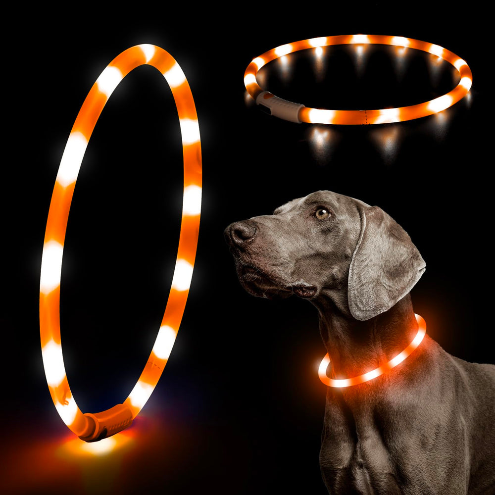 Collar Higo LED 360 grados para perros, mayor visibilidad nocturna.