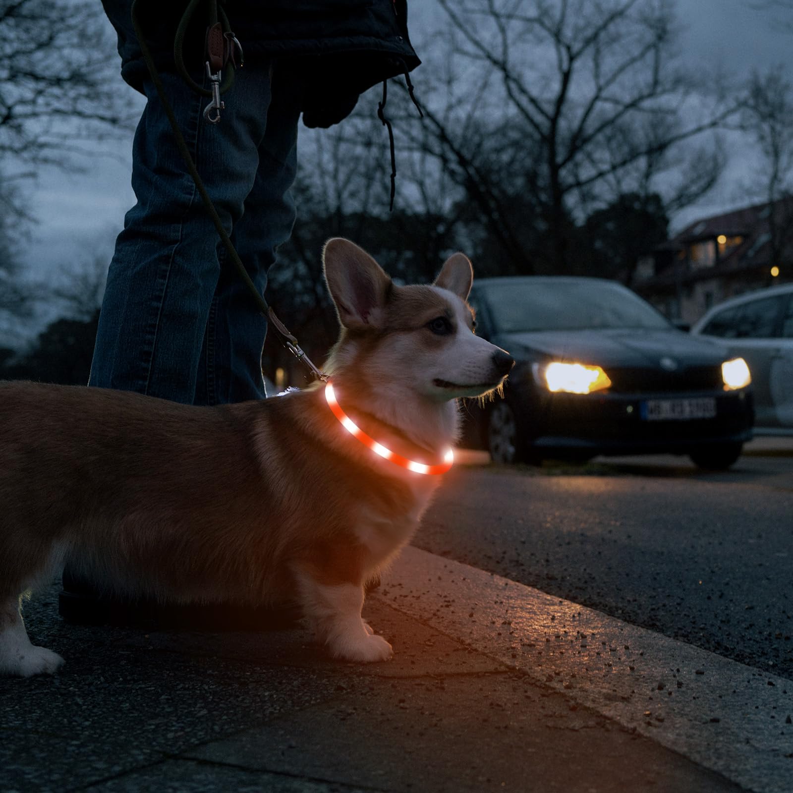 Seguridad nocturna con el collar LED Higo, mejora la visibilidad.