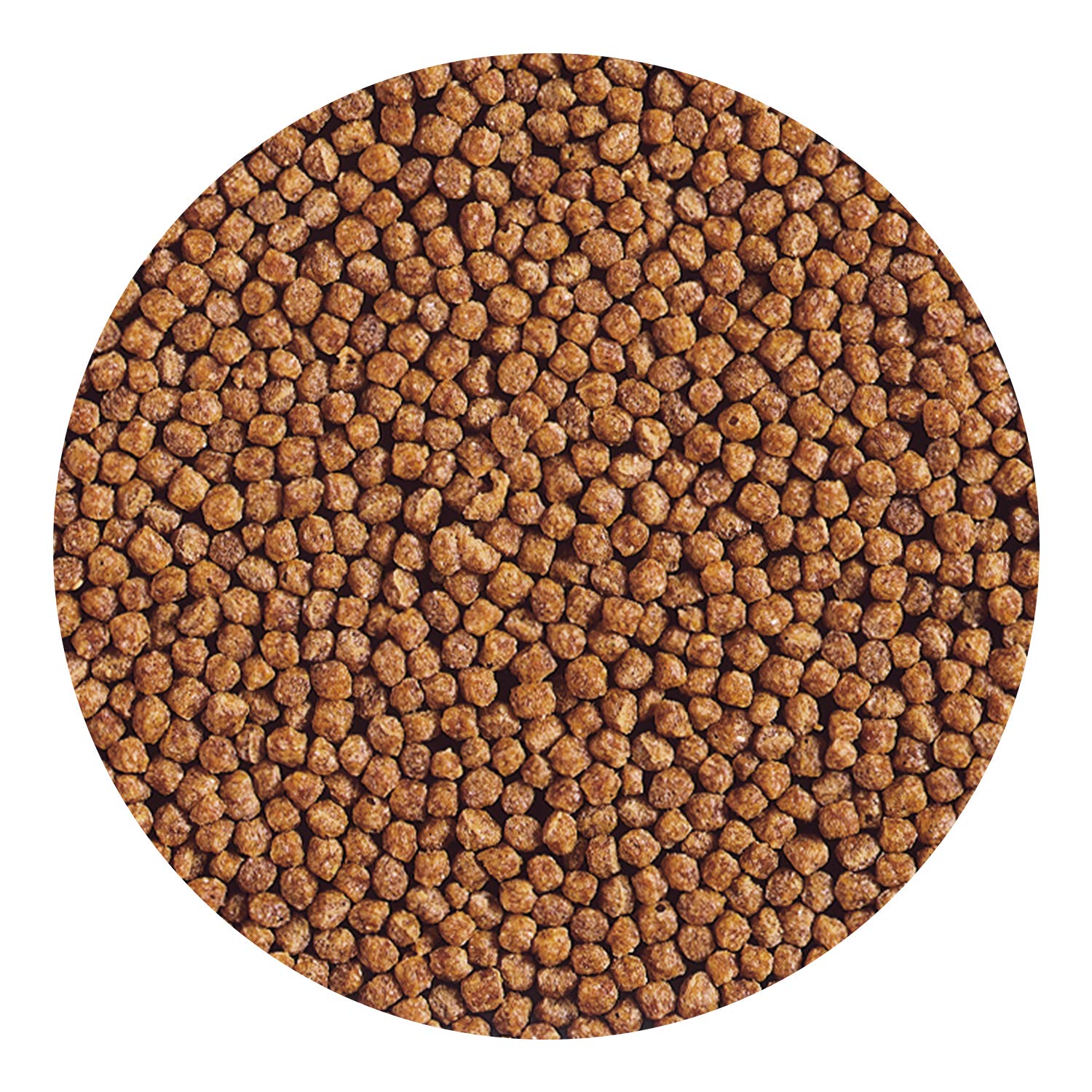 Hikari Gold envase cerrado, facilita almacenamiento del alimento