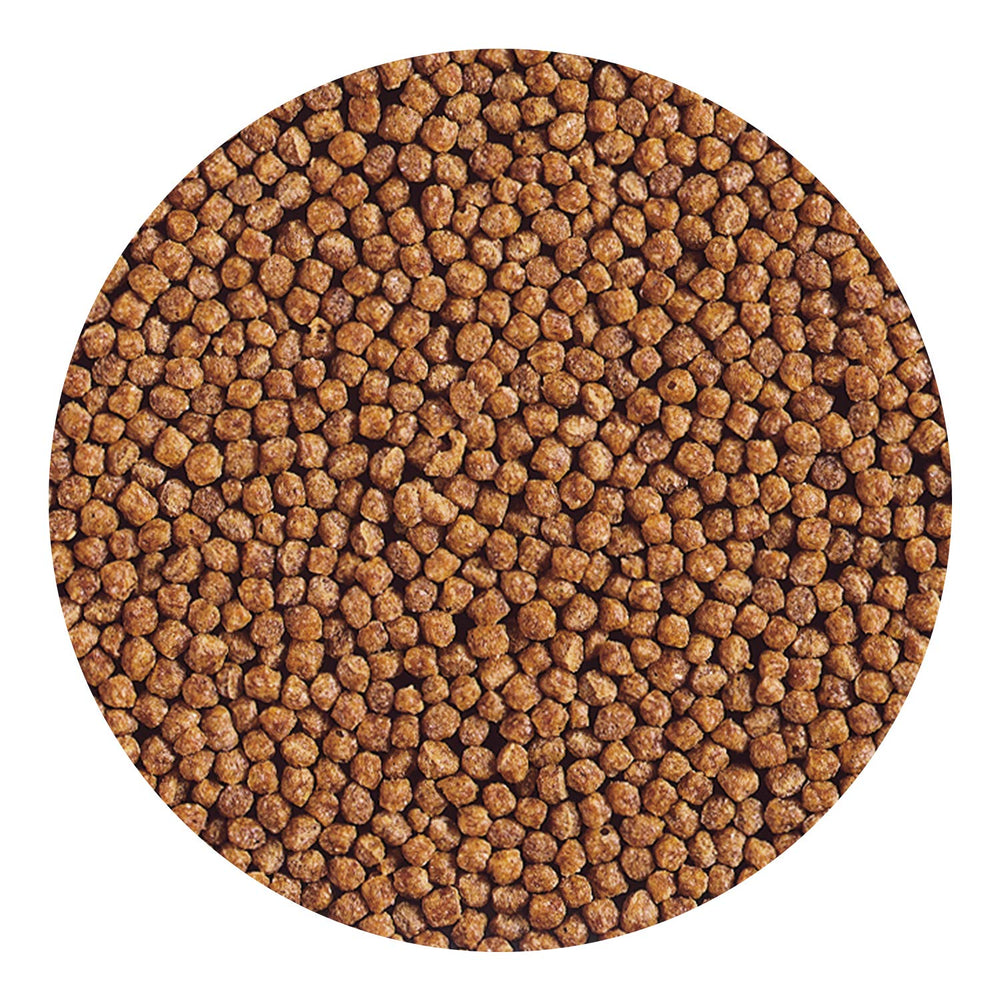 Hikari Gold envase cerrado, facilita almacenamiento del alimento