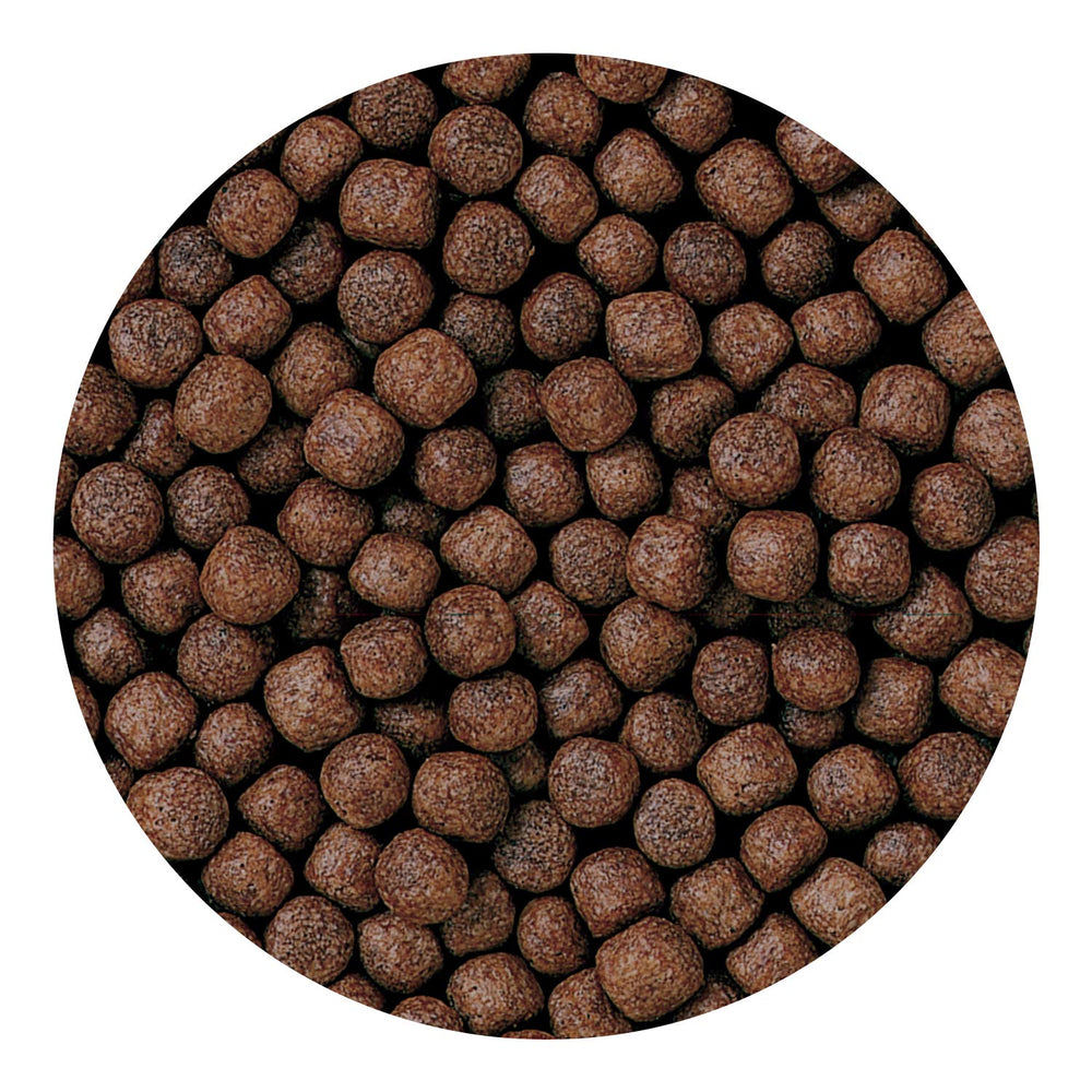 Hikari Germ potencia la digestión y facilita la realce de color en peces.