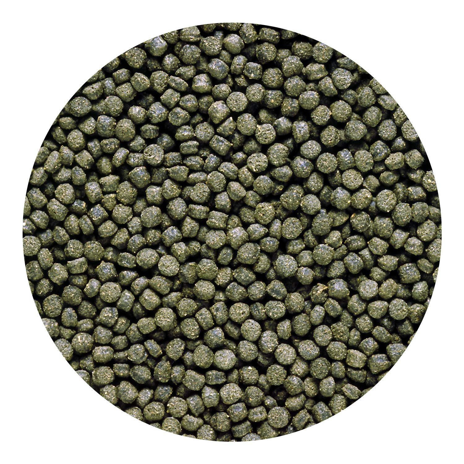 Pellets con color natural gracias a la spirulina de Hikari Cichlid Excel.