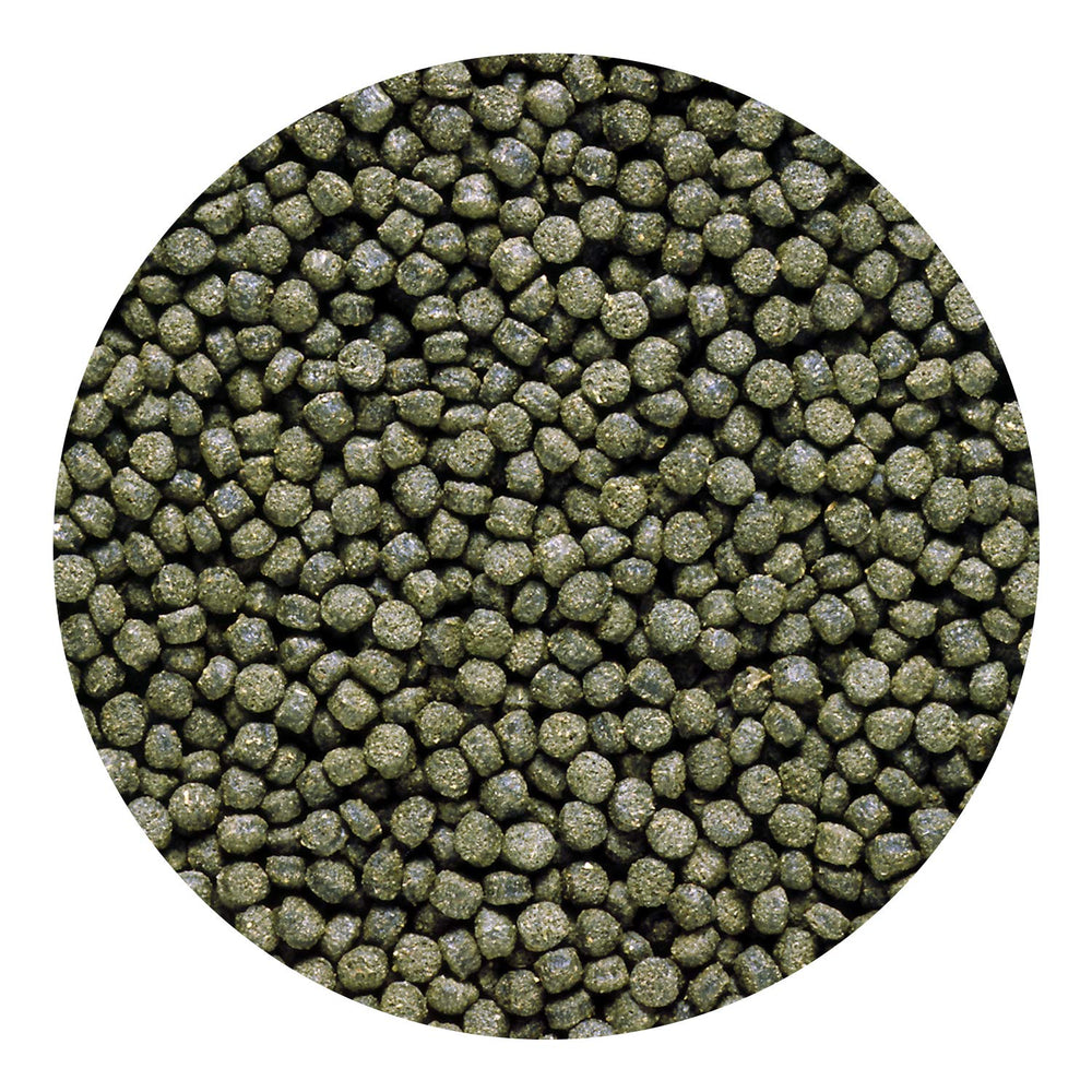 Pellets con color natural gracias a la spirulina de Hikari Cichlid Excel.