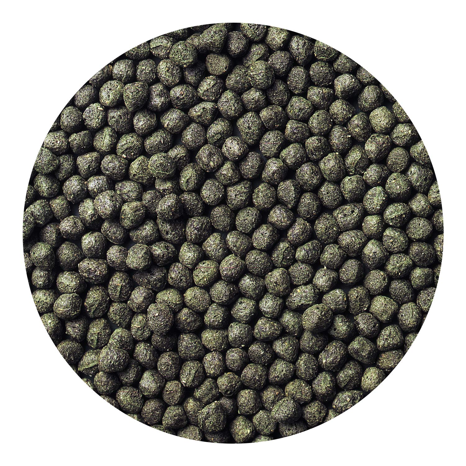 Hikari Cichlid Excel pellets, en taza de alimento, fácil dosificación para alimentación diaria.