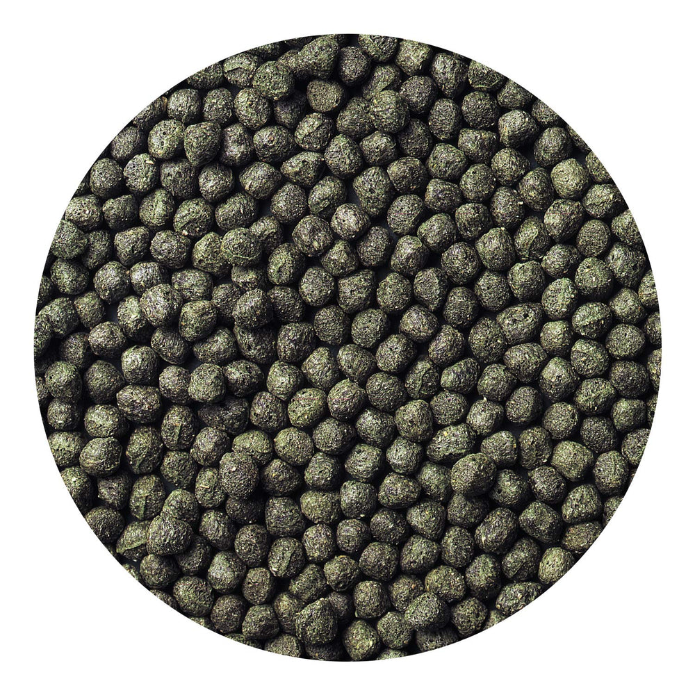 Hikari Cichlid Excel pellets, en taza de alimento, fácil dosificación para alimentación diaria.