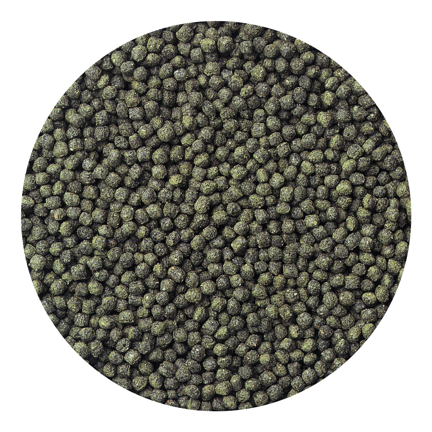 Hikari Cíclidos Excel, alto contenido de vitamina E para vigor.