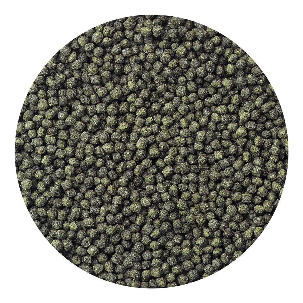 Hikari Cíclidos Excel, alto contenido de vitamina E para vigor.