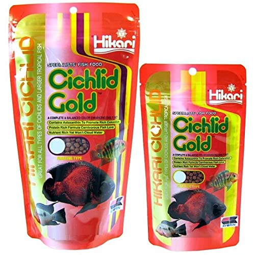 Hikari Cichlid Gold gránulos en envase compacto, ideal para alimentación regular.