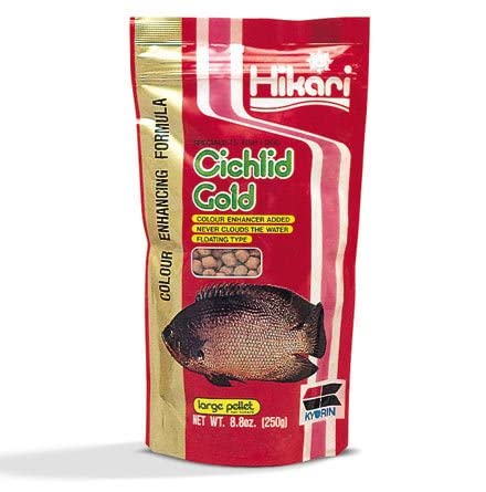 Hikari Cichlid Gold frasco mediano, porciones estables para todas las etapas.