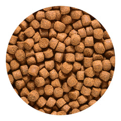 Pellets Hikari Oro favorecen la salud general de los peces tropicales.