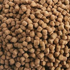 Pastillas germen hundibles Hikari en agua fría, se hunden rápido para climas fríos.