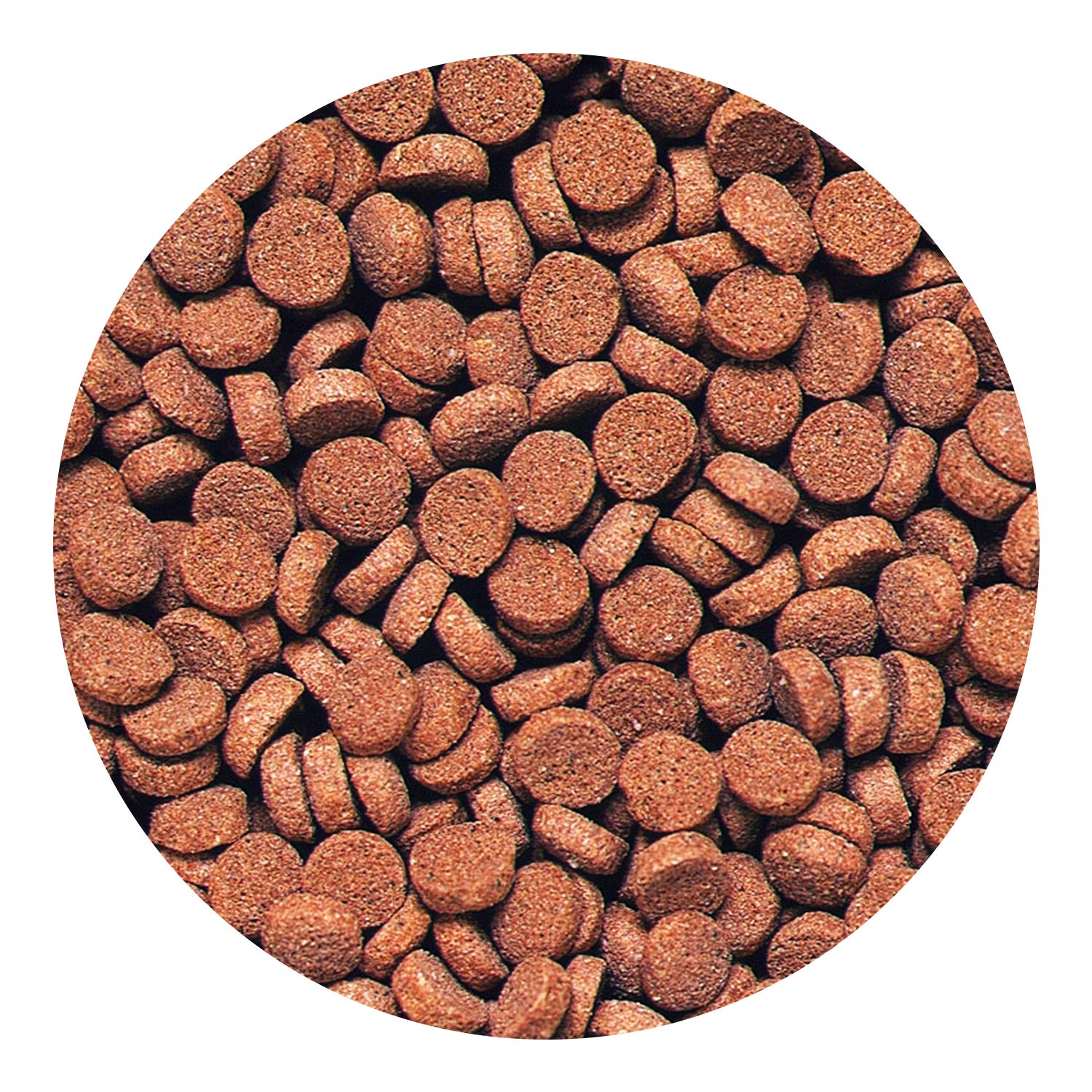 Hikari pellets carnívoros hundidos: colores brillantes gracias a carotenoides