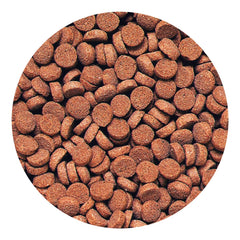 Hikari pellets carnívoros hundidos: colores brillantes gracias a carotenoides