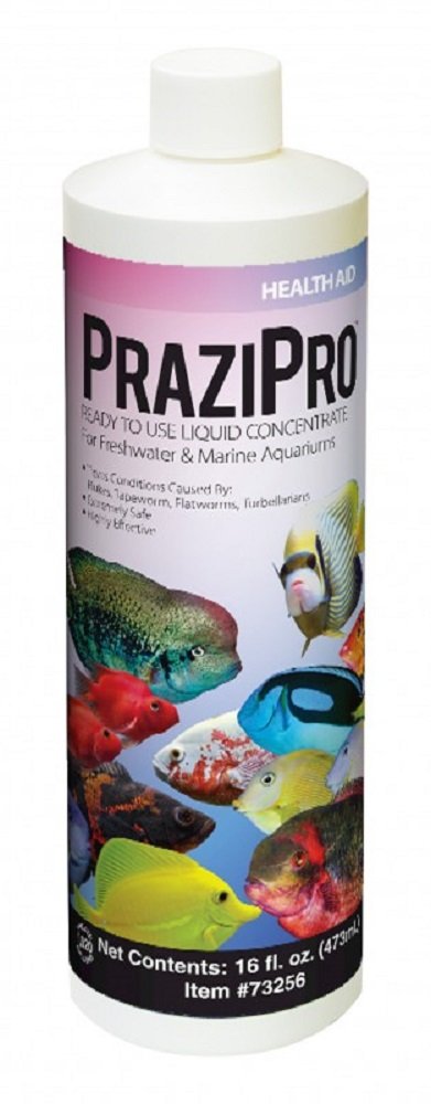 Frasco de Hikari Prazipro, concentrado líquido para tratar parásitos en acuarios de agua dulce y marina.