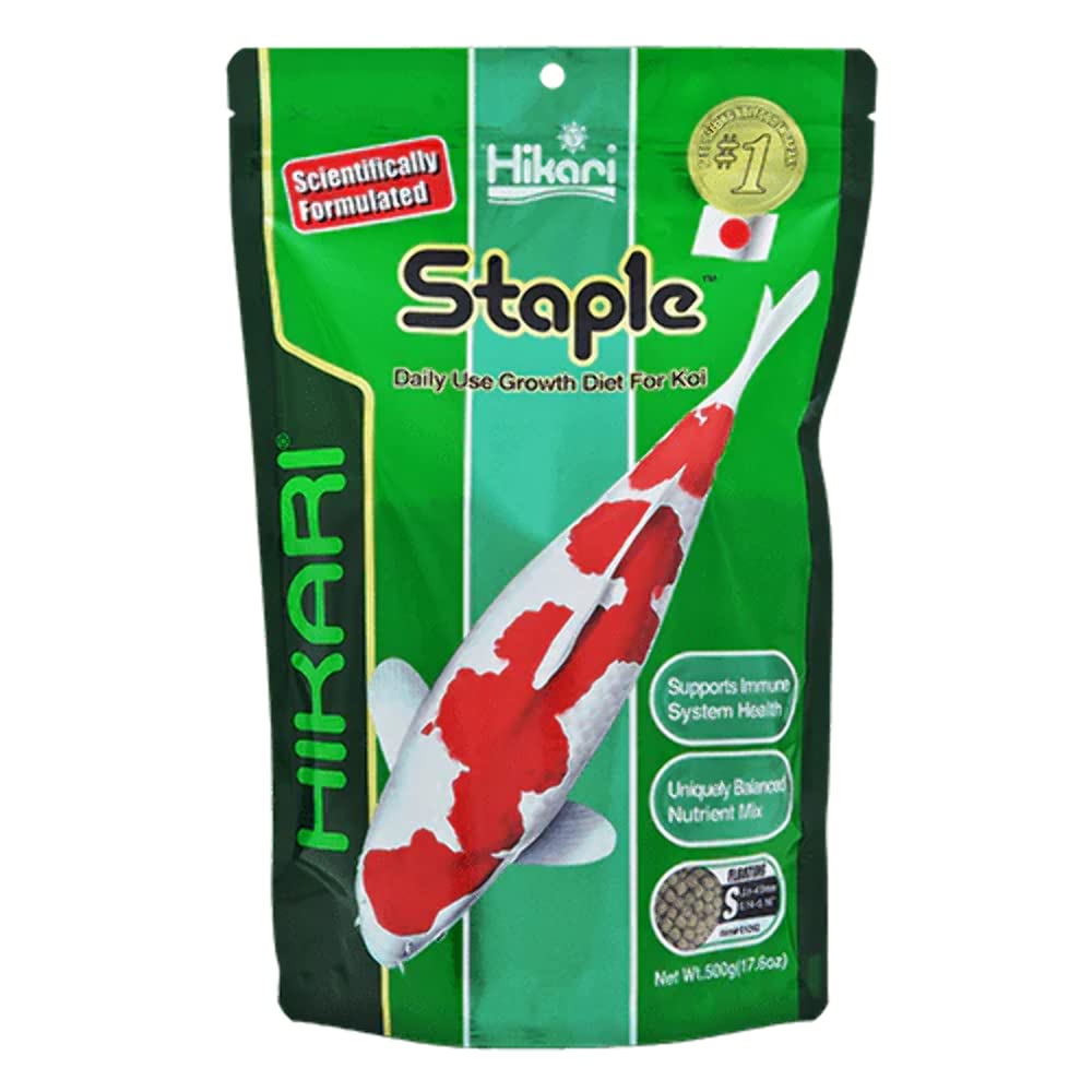 Hikari Staple Pellets en agua: nutrición diaria para crecimiento y brillo de escamas.