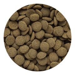 Hikari Tropical Sinking Wafer, uso en acuario, fomenta alimentación regular en peces del fondo.