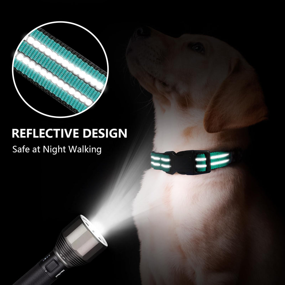 Hikiko cierre rápido para collar martingale, liberación segura en emergencias.