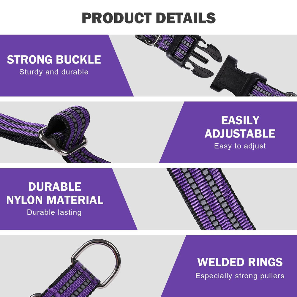 Hikiko collar martingale de nylon duradero para perros activos.