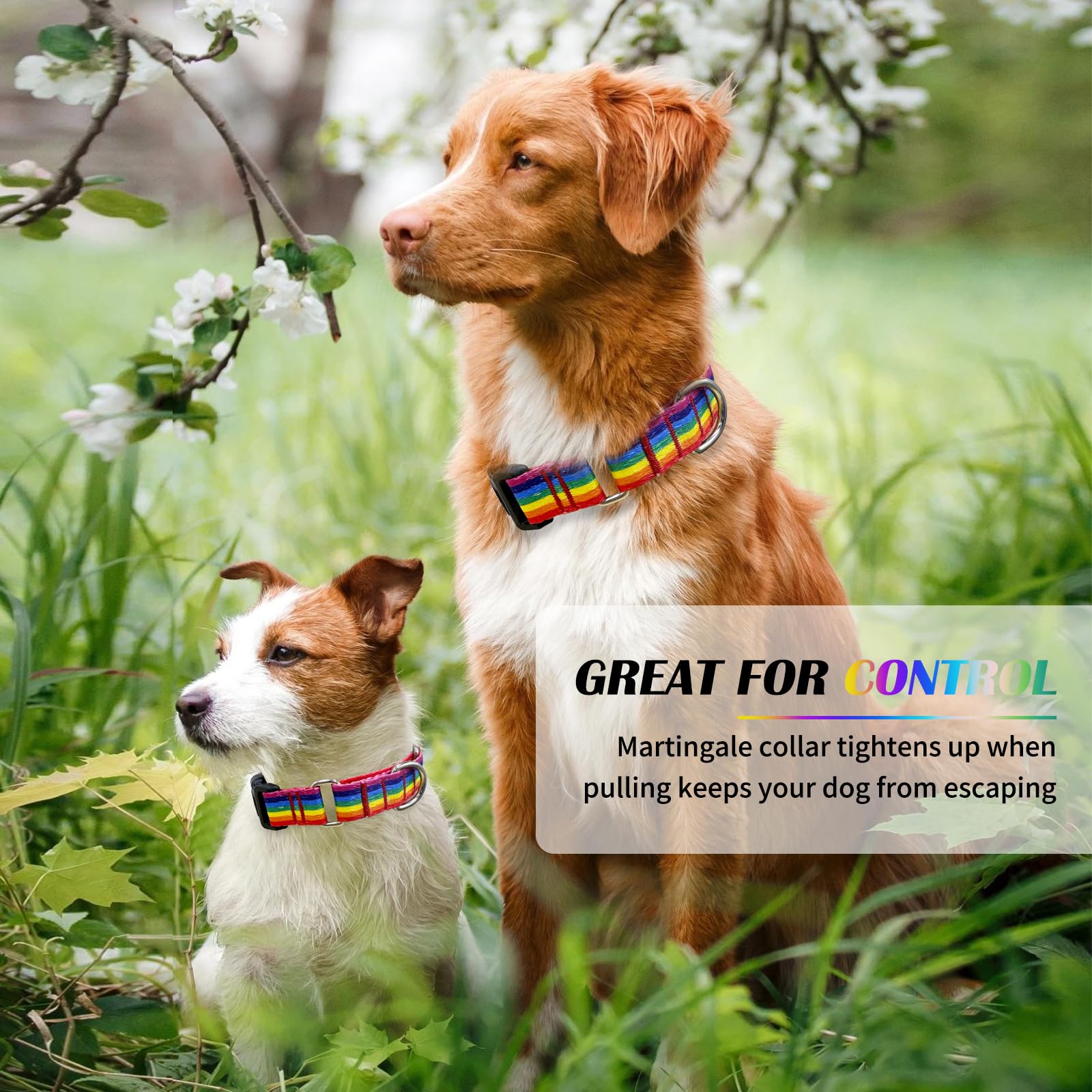 Patrón arcoíris Hikiko, collar martingale visualmente atractivo para perros pequeños y medianos