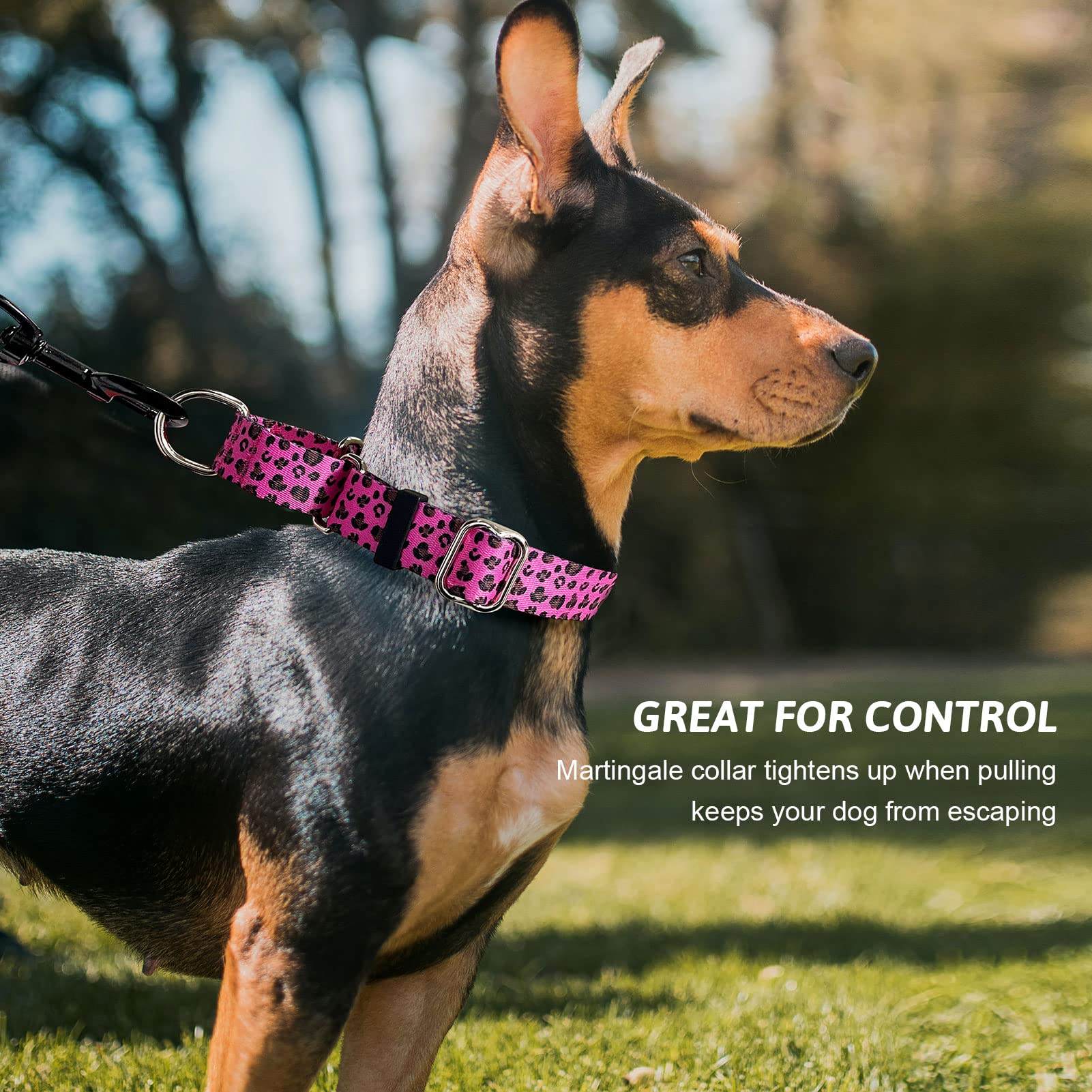 Hikiko collar martingale talla ajustable, ajuste seguro evita que el perro se escape