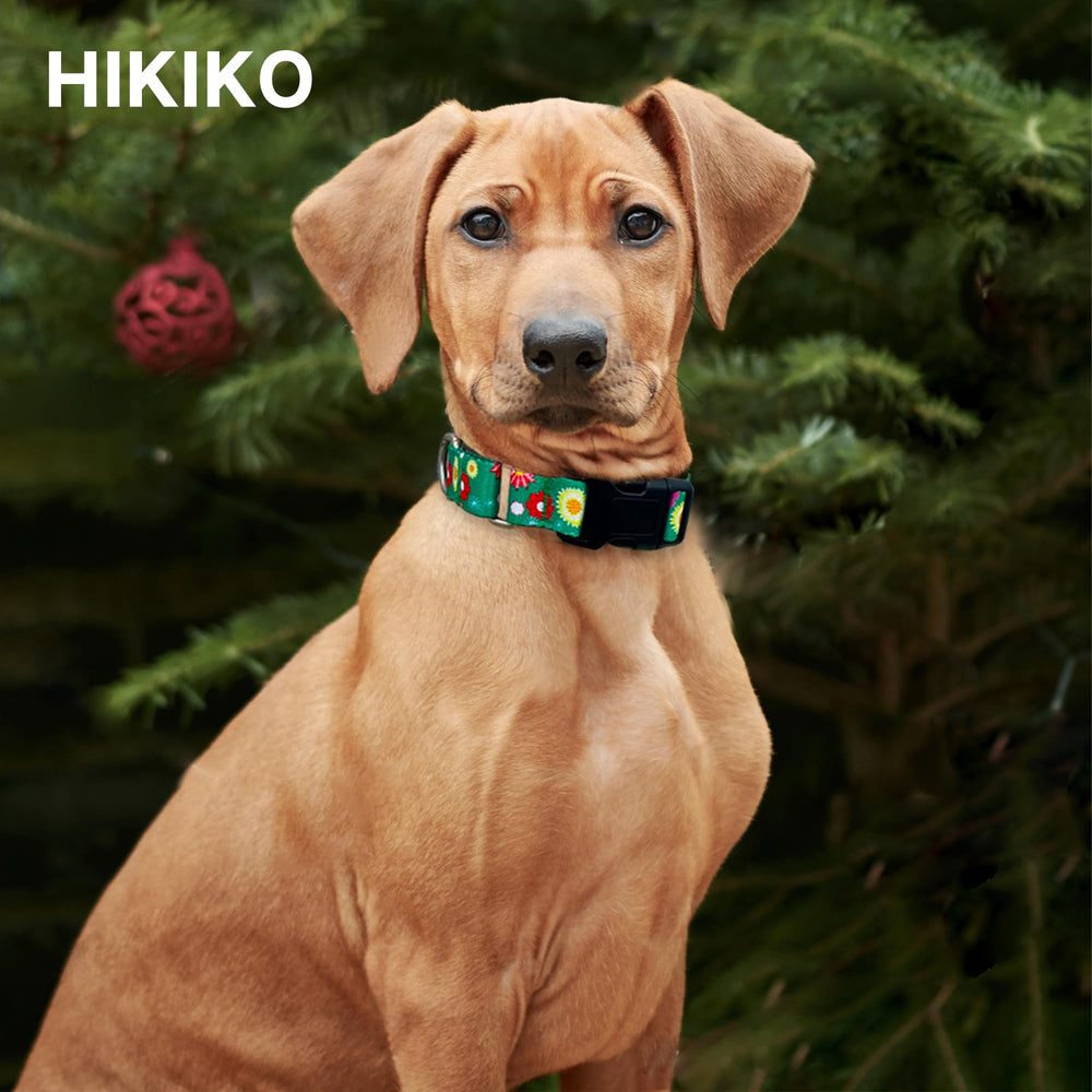 Hikiko Martingale collar ajustable en nylon suave, recomendado para comodidad diaria.