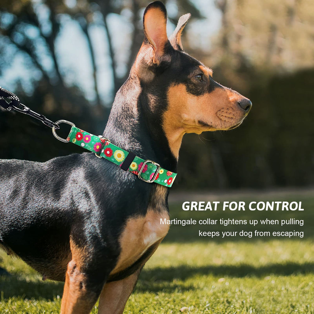 Hikiko Martingale collar con estampados divertidos, estilo único para tu perro.